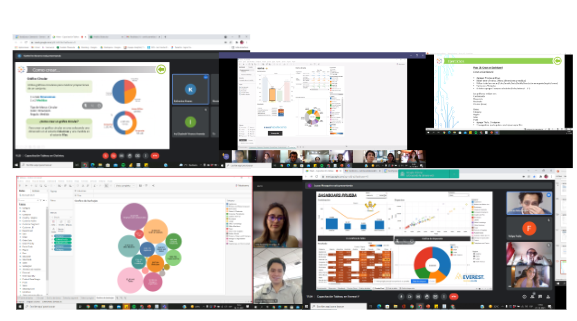 Capacitaciones Virtuales