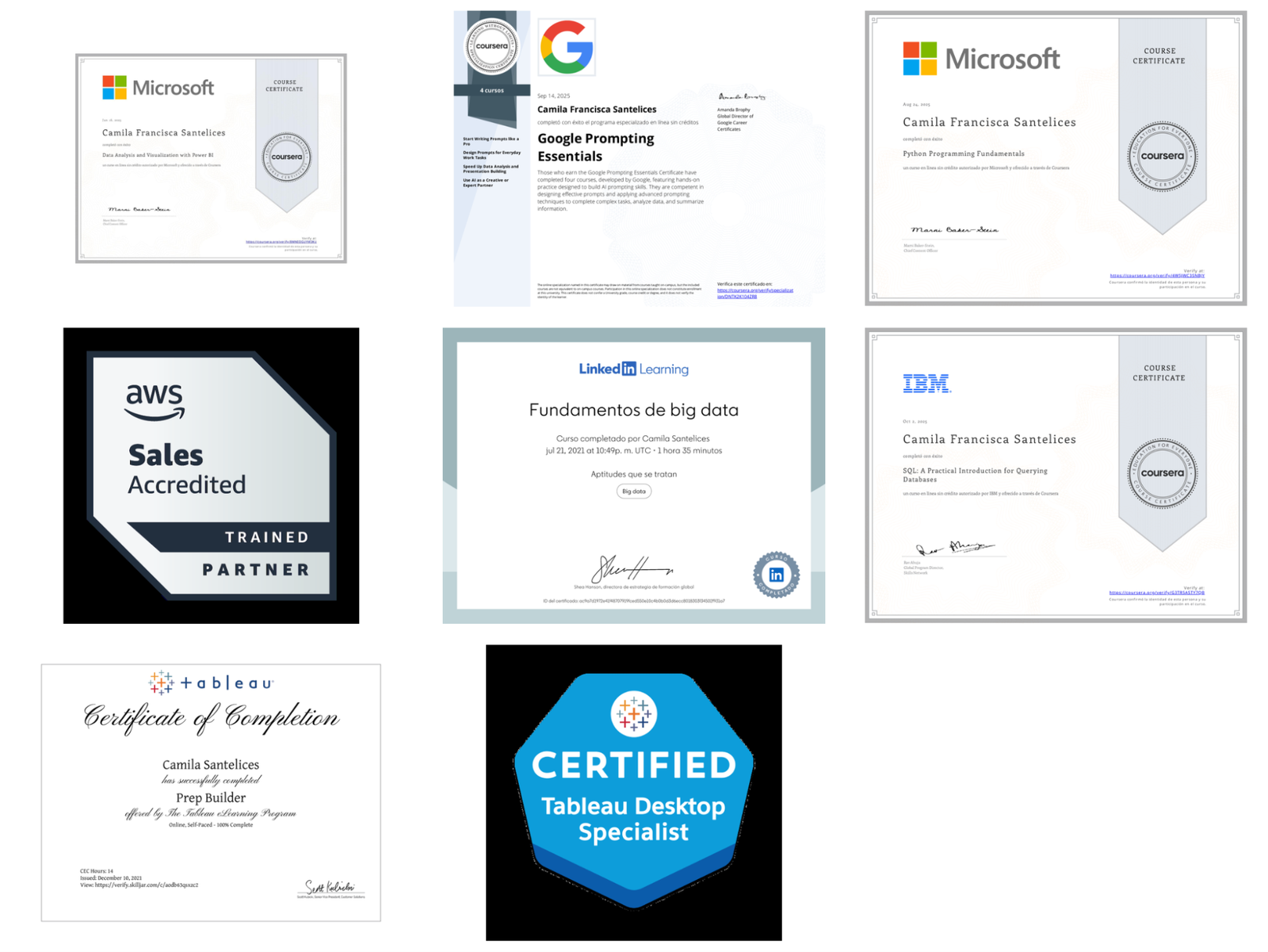 Collage de Certificados Profesionales de Camila Santelices